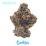 Buy Cookies Mints Strain Online Australia Buy Mintz Strain Dubbo. Patients choose Mintz when dealing with symptoms with anxiety, depression, and nausea.
