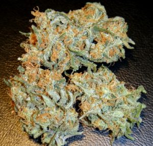Where To Buy Weed Online Coffs Harbour Buy Cannabis Australia. Its said to be ideal for treating patients suffering from conditions like ADD/ADHD,....