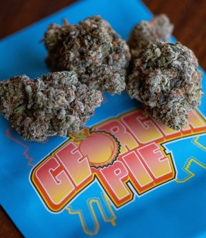 Buy Cookies Strains Online In Melbourne Buy Weed In Lismore. Because of its potency, Georgia Pie is best reserved for those who have a high THC tolerance.