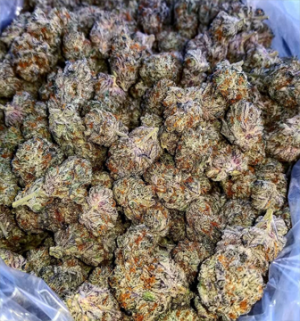 Where To Chemdawg Online Alice Springs Buy Weed In Australia. Patients often choose Chemdawg when dealing with symptoms like stress, anxiety, and pain.