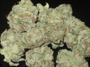 Where To Buy Moonwalker Kush Online Warrnambool Weed Shop. Its high starts with a happy rush of cerebral effects that leave you feeling lifted although ..
