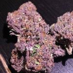 Where To Buy Weed Online Geelong Buy Purple Haze In Australia. It remains cherished for its high energy cerebral stimulation that awakens creativity.