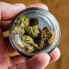 Where To Buy Weed Online In Darwin Buy chunky-diesel Australia. This strain is a hybrid with a clear head high that’s perfect for daytime chores.