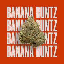 Buy Banana Runtz Online Australia Buy Weed Online Melbourne. Banana Runtz strain is an evenly balanced hybrid with an interesting combo of flavors.