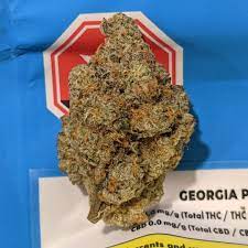 Buy Cookies Strains Online In Melbourne Buy Weed In Lismore. Because of its potency, Georgia Pie is best reserved for those who have a high THC tolerance.