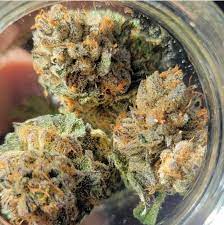 Buy Cali Tins Online In Australia Buy Cookies Strains In Brisbane. Its recommended to combat stress, loss of appetite, and minor physical discomfort.