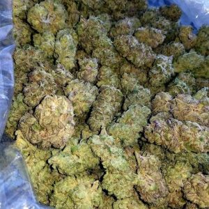 Where To Buy Weed Online Broken Hill Buy Gorilla Glue Australia. It delivers heavy-handed euphoria and relaxation, leaving you feeling “glued” to the couch.