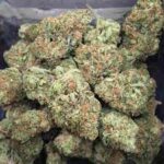 Buy Cannabis Online In Bundaberg Central Buy Weed In Australia. It provides a euphoric, uplifting high that is ideal for anyone looking to spark creativity.