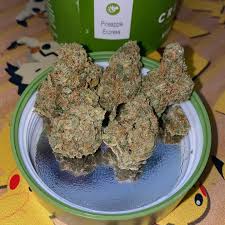 Where To Buy Weed Online Hobart Buy Pineapple Express Hobart. Enjoy its softer cerebral effects that increase creativity, and break through writer’s block.