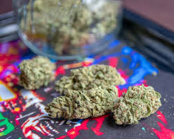 Buy Cookies Strains Online In Australia Buy Weed In Townsville. Its high takes hold quickly, with a soft but strong body buzz that can provide relaxation.
