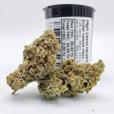 Buy Super silver haze online In Australia Buy Weed In Launceston. It is as tempting as it looks and is extremely delicious with its fruity and sweet aroma.