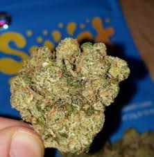 Buy Cookies Strain Online In Canberra Buy Cali Tins In Canberra. it may provide a potent and blissful lift that could promote creativity and social energy.