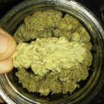 Where To Buy Cannabis Online Cairns Buy Weed Online Australia. It produces euphoric and uplifting effects that are sure to boost your mood.