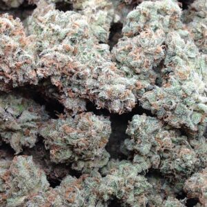 Where to Buy Weed Online Armidale Buy Cannabis Online In Au. Consumers typically describe this 55% sativa hybrid as blissful, clear-headed, and creative.
