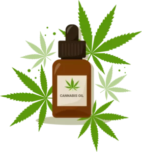Buy Cannabis Online In Sydney Buy Weed Online In Sydney/Au. It is an excellent choice for stress relief, pain management, and insomnia.